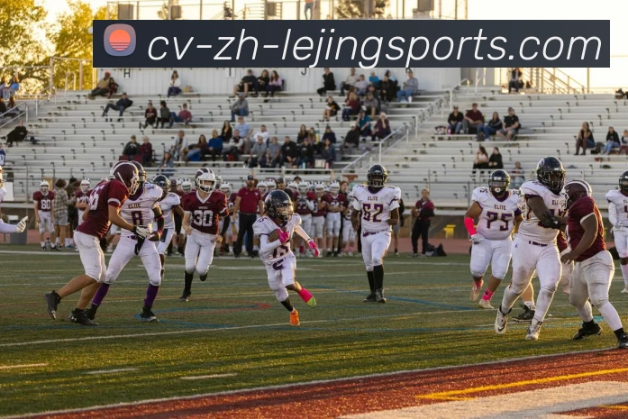 乐竟官网平台生态图