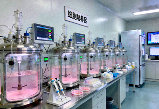 乐竟生物药研发平台细胞培养实验室及生物反应器工作状态实景展示
